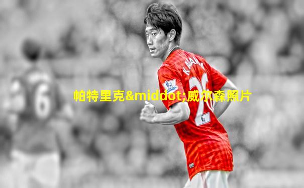 帕特里克·威尔森照片