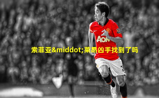 索菲亚·莱昂凶手找到了吗